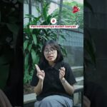 Bisa Nggak Sih, Indonesia Jadi Eksportir Ayam Dunia? #finsubito agevolazioni