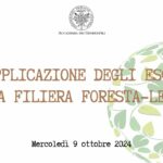 9 ottobre 2024 – Applicazione degli ESG alla filiera foresta-legno #finsubito agevolazioni