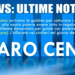 NEWS:  ULTIME NOTIZIE DEL 6-11- 2024 #finsubito agevolazioni