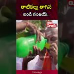 తాటికల్లు తాగిన బండి సంజయ్.. | Bandi Sanjay | Tolivelugu #finsubito agevolazioni